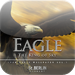 10 amazing EAGLE wallpaper